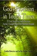 God's Provision Book Cover