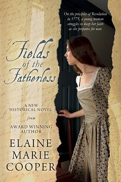 Field of The Fatherless book cover